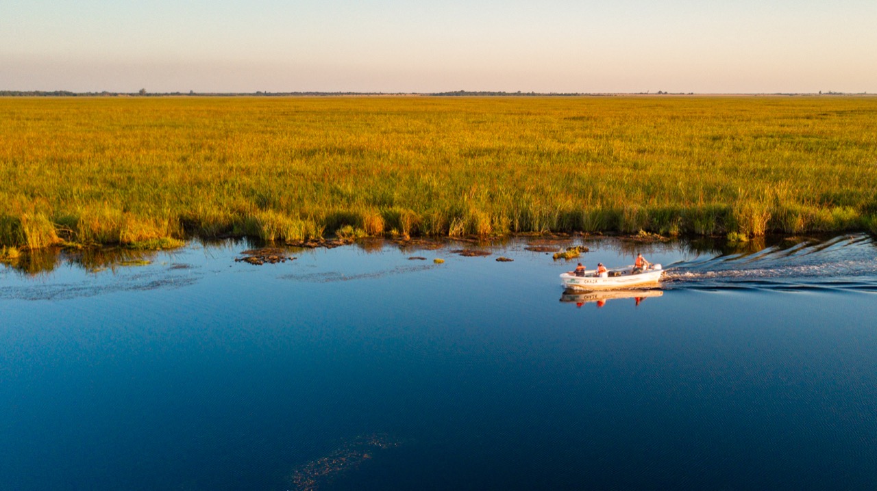 Excursión en lancha por la Laguna Iberá al atardecer