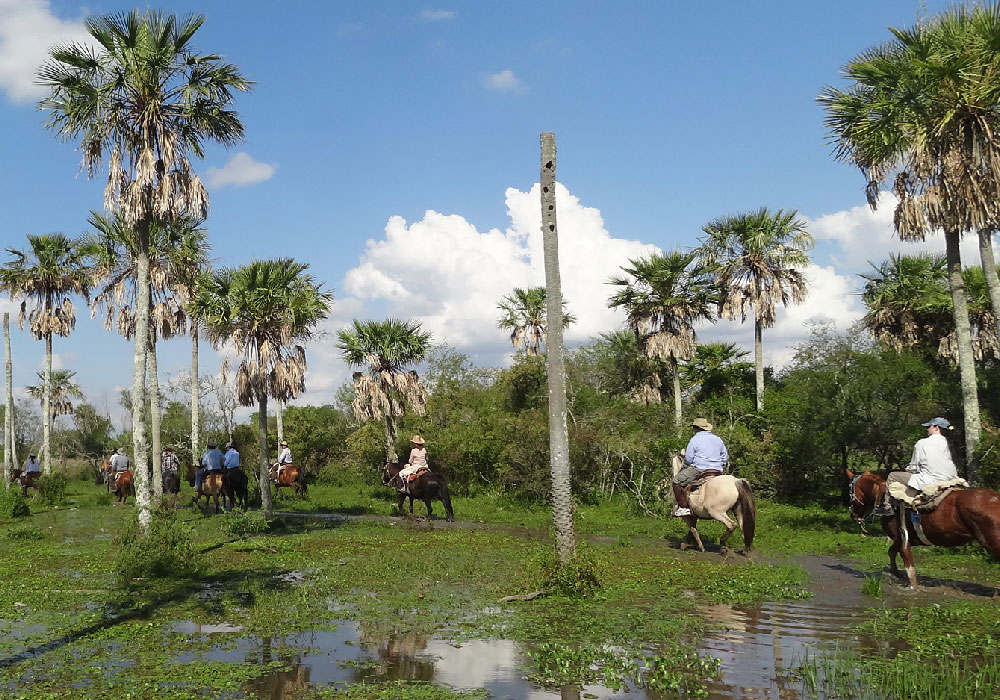 Estancia San Antonio  -  Bra​ford