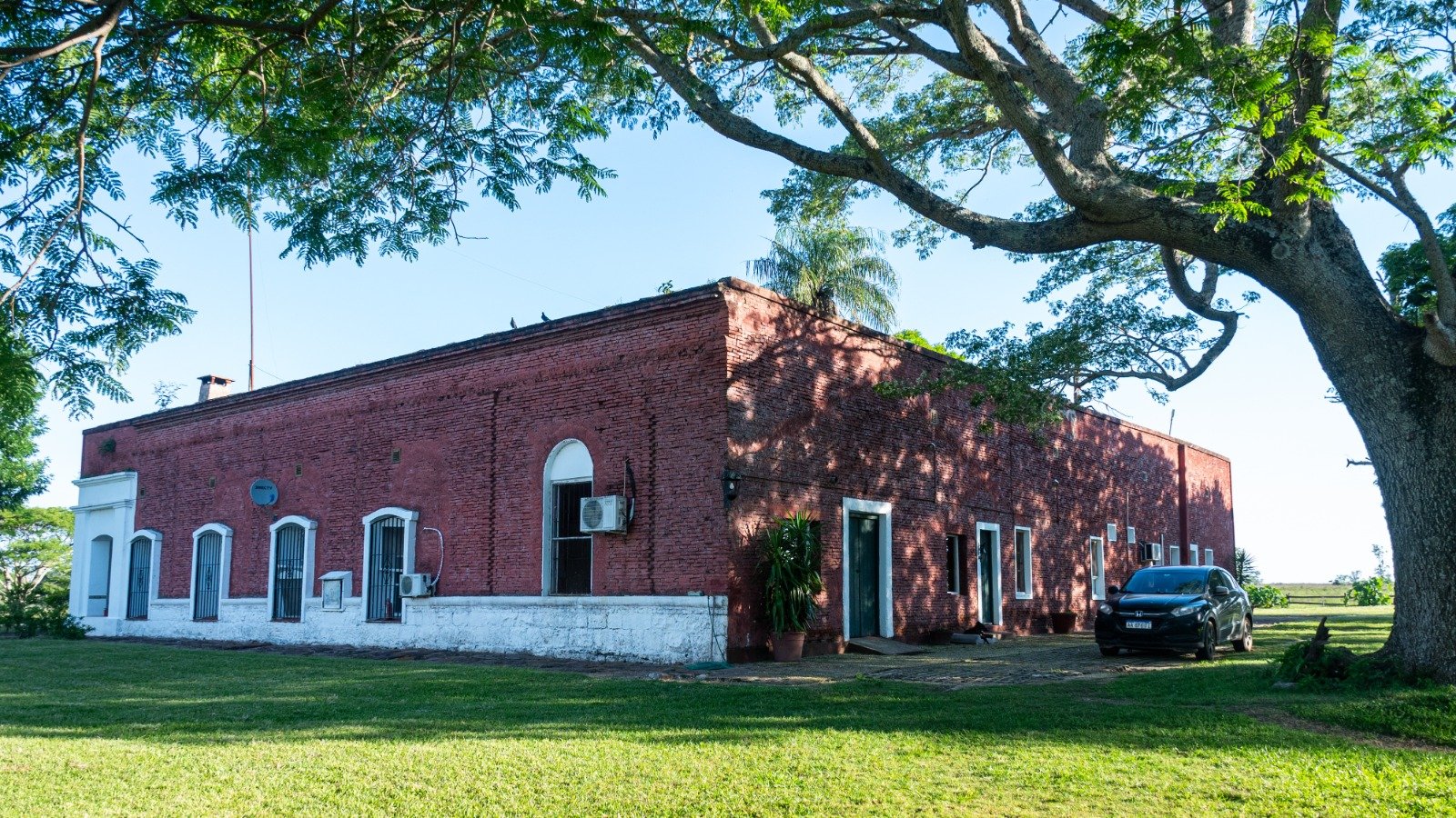 The main house under a tree in the grounds
