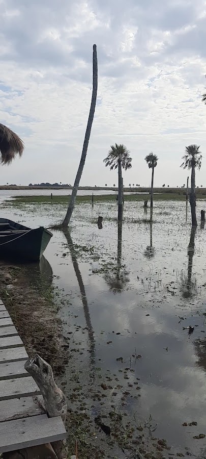 Palmeras inclinadas reflejadas en la laguna con bote de madera al amanecer