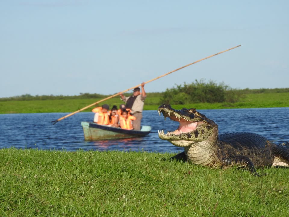 Excursiones Yetapá (Eduardo Alegre)