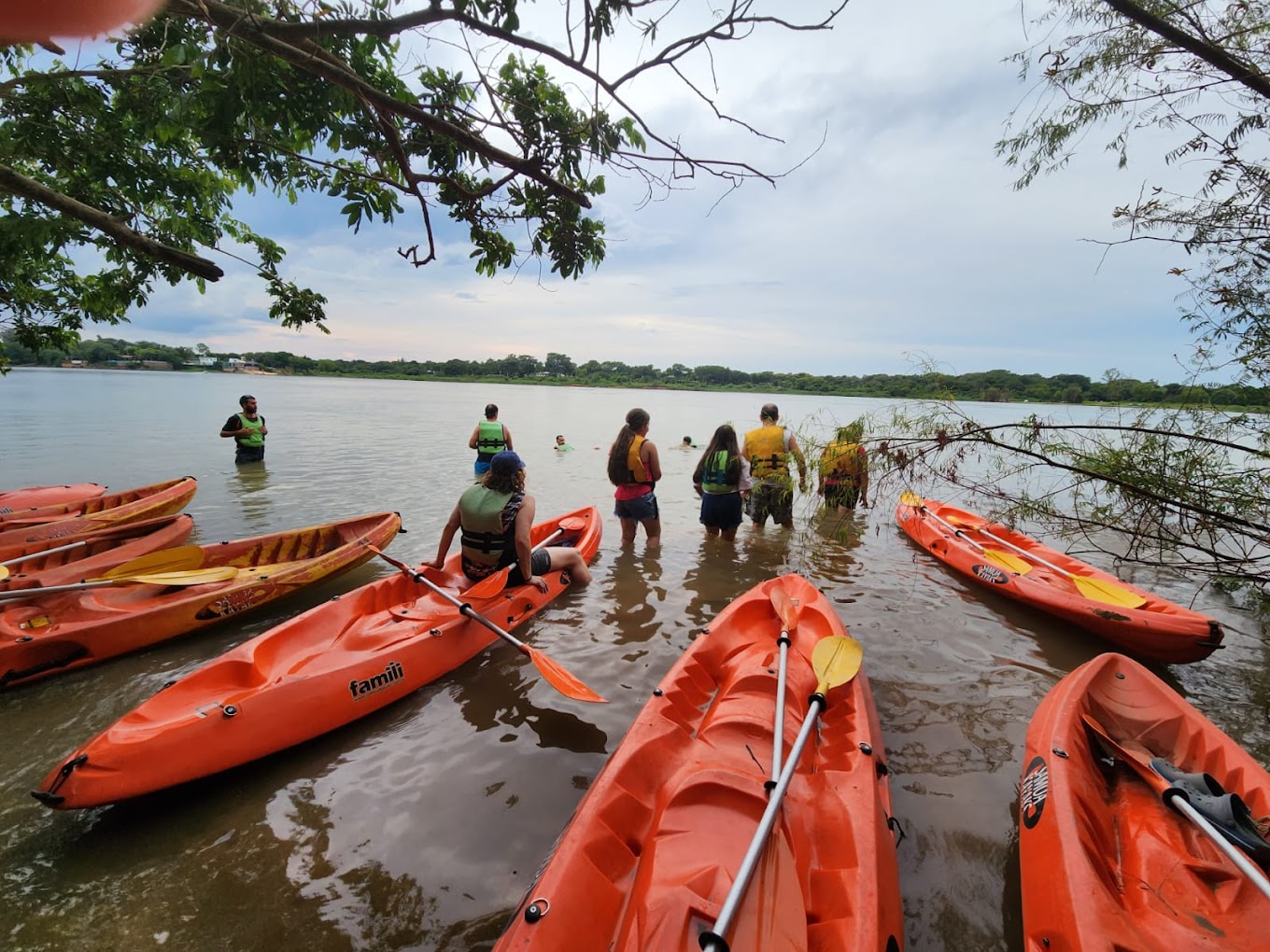 Los esteros del Iberá en San Miguel  -  fauna y paisaje del Portal