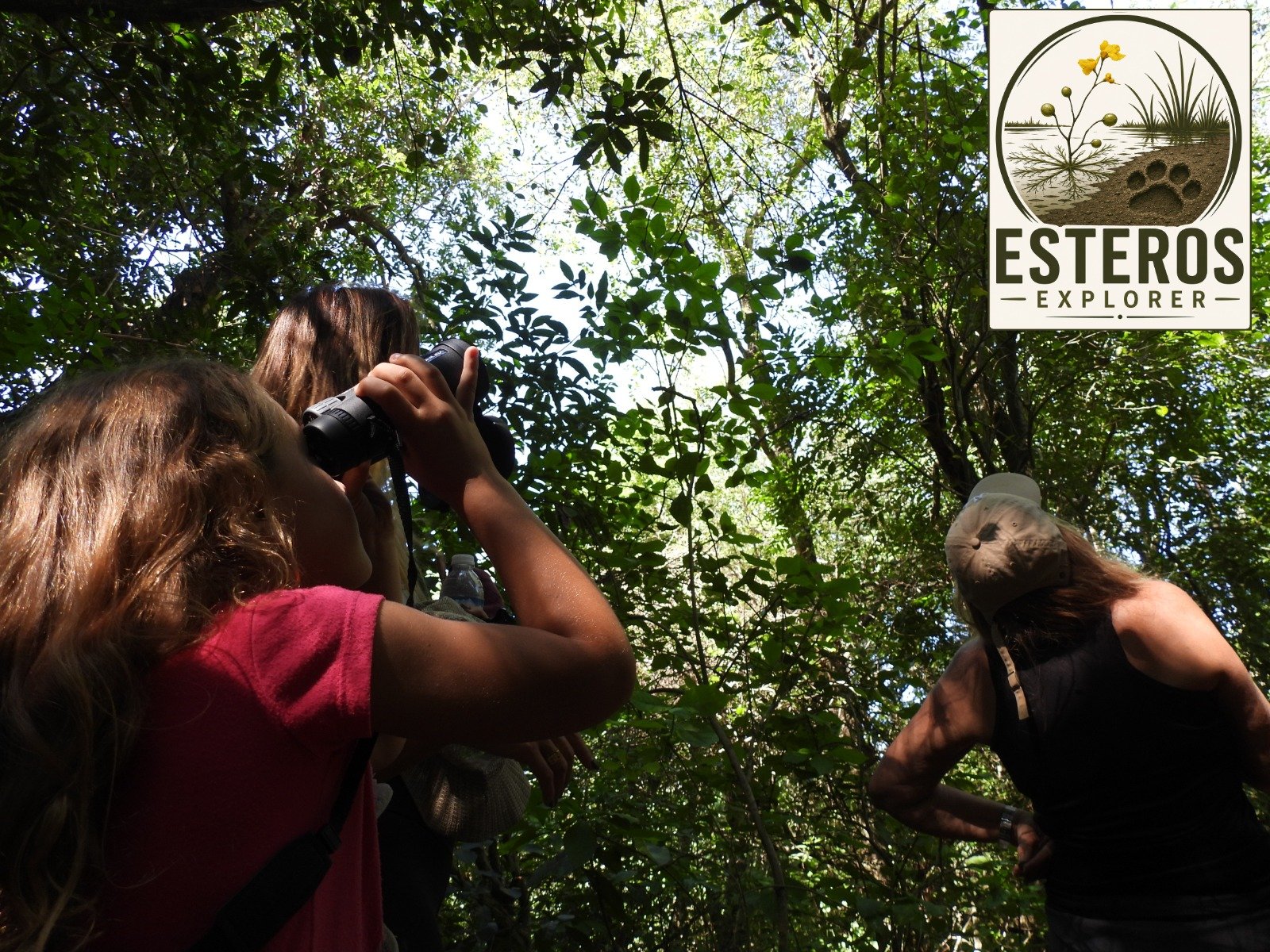 Birdwatching with binoculars under the forest canopy