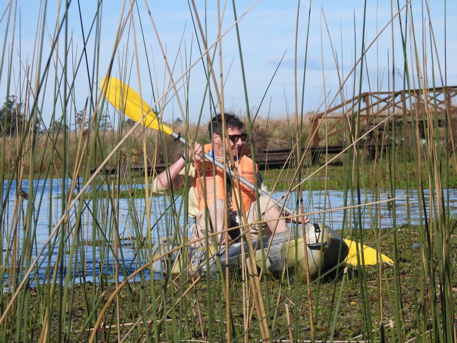 En kayak entre los juncos, junto a una pasarela de madera