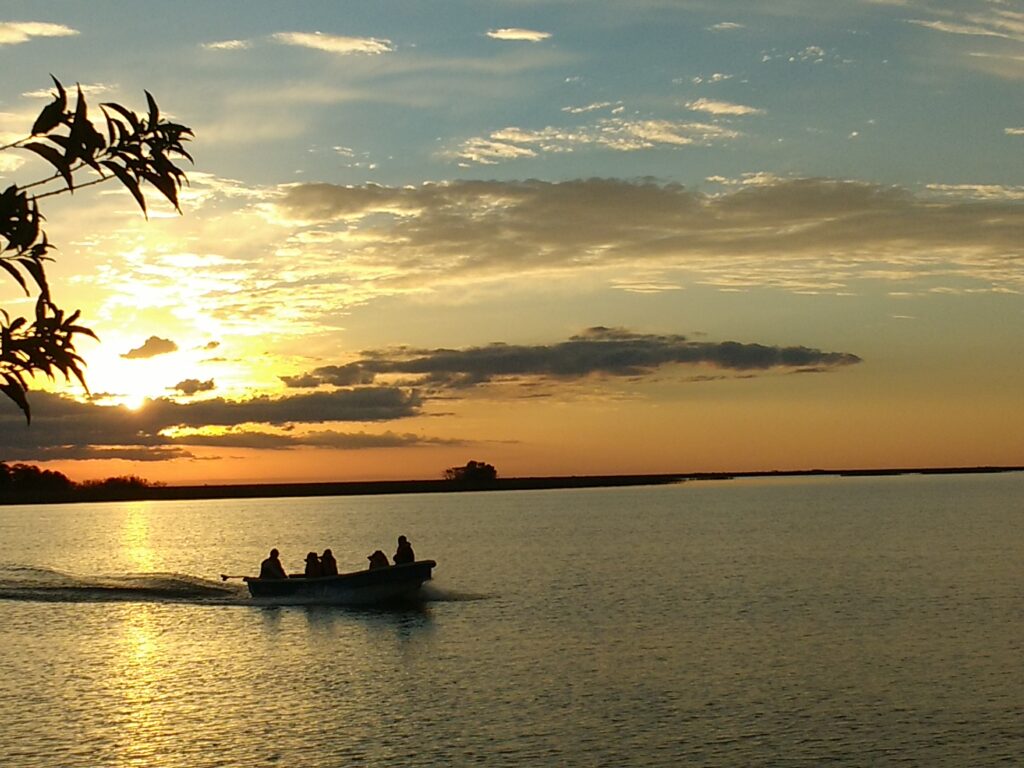 Ave colorida en los pastizales  -  birding en el Iberá con Guayrá