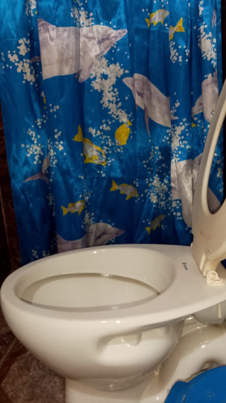 El baño, con la cortina de la ducha de fondo.