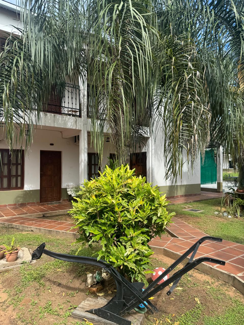 El patio con las habitaciones y las palmeras