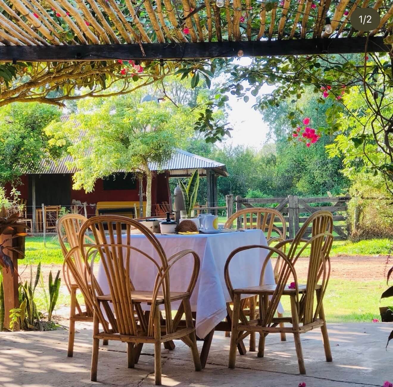 Mesa bajo la pérgola en flor