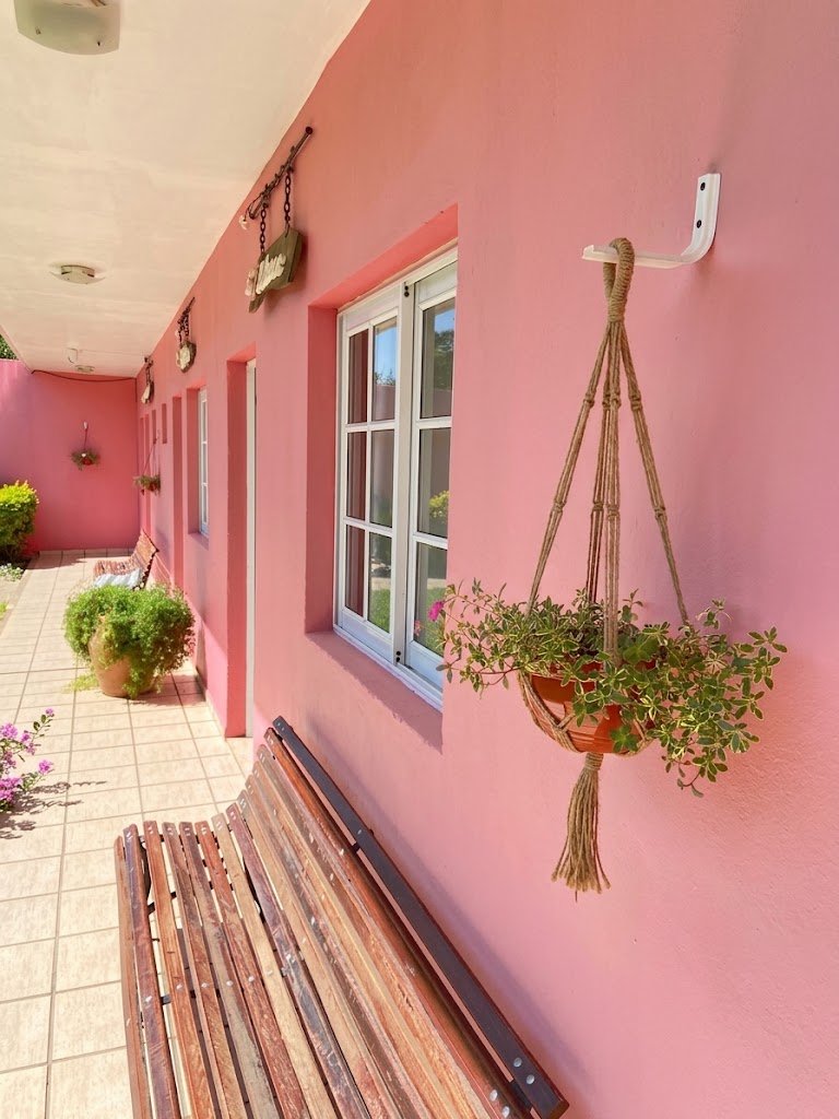 La galería, con el banco y las plantas colgantes