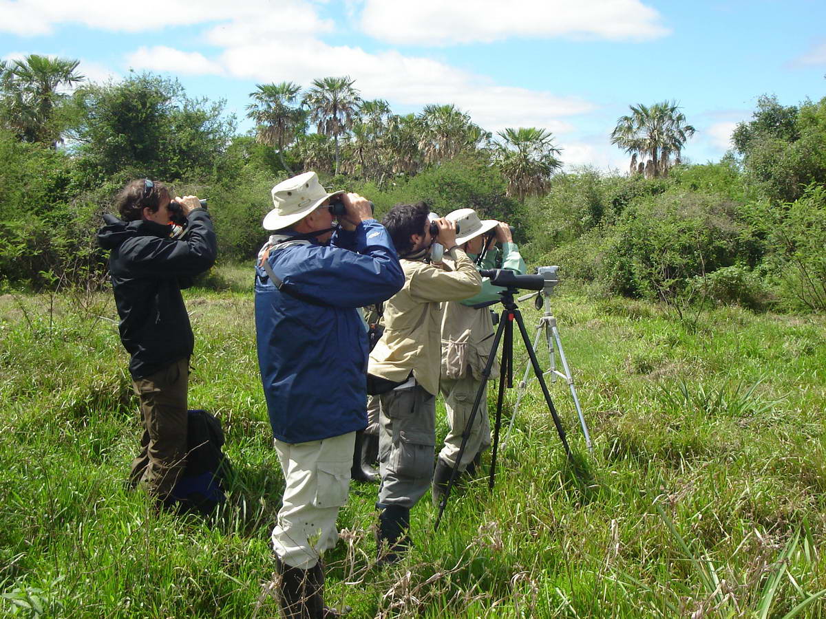Observación de aves con binoculares y telescopio en el monte
