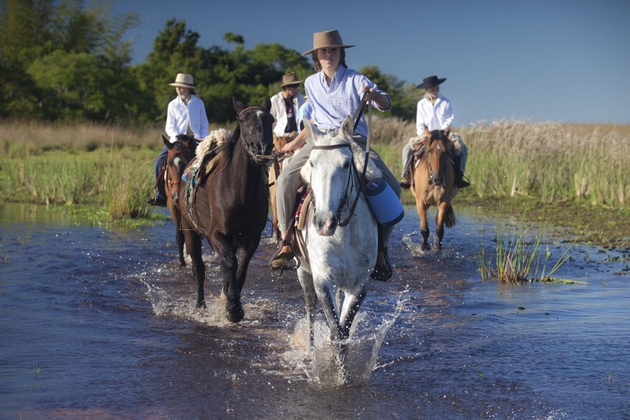 Iberá Explorer