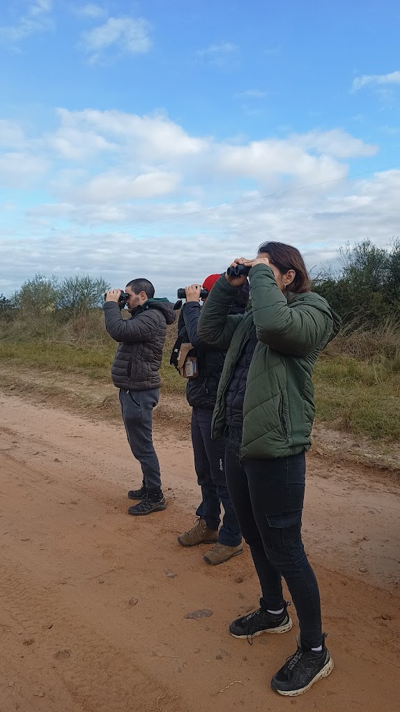 Aves del Iberá  -  más de 380 especies registradas en Pellegrini