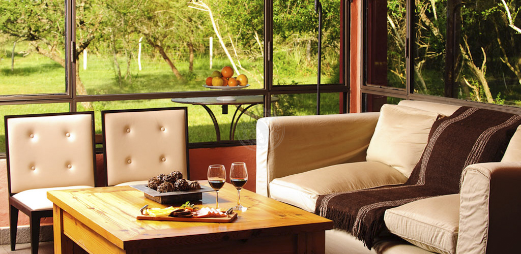 Salón lounge con vista al jardín  -  copas de vino y picada