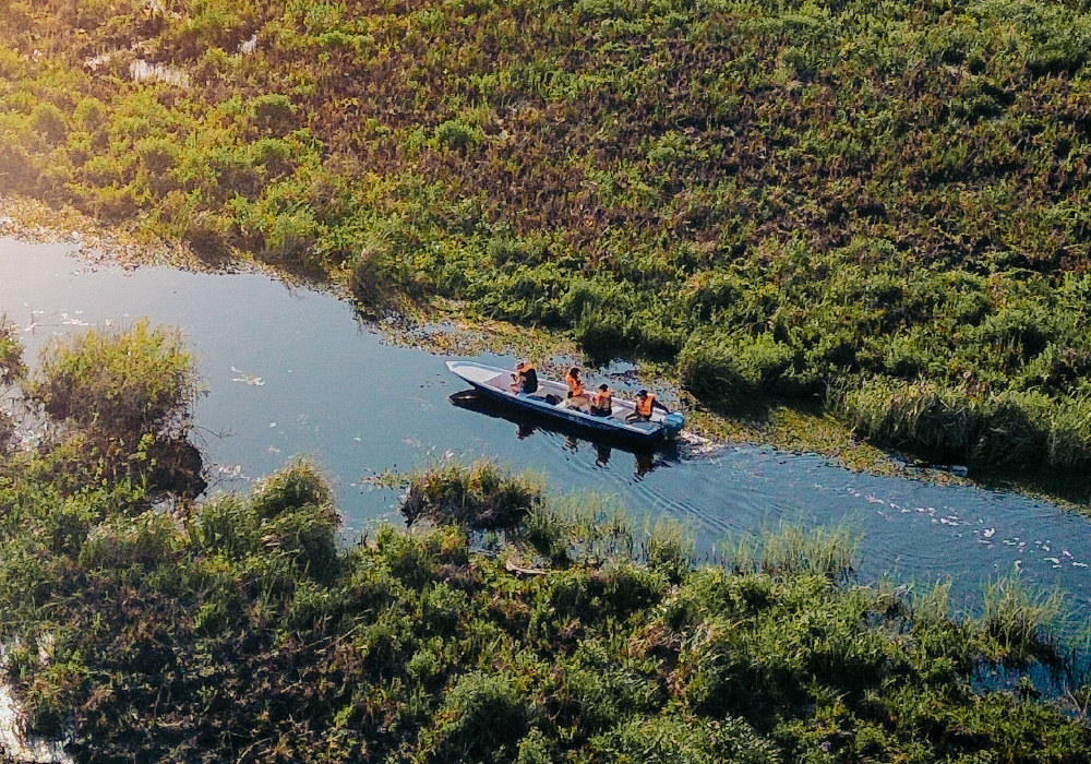 Safari en lancha por los canales del Iberá  -  vista aérea