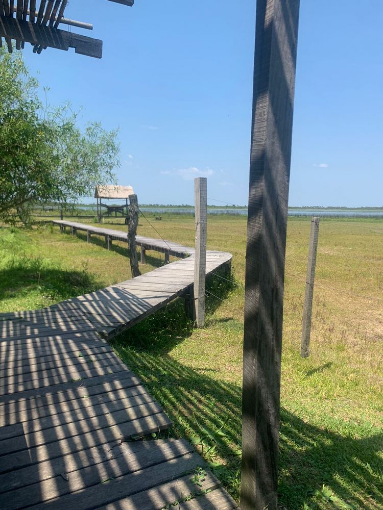 Pasarela de madera hacia la laguna
