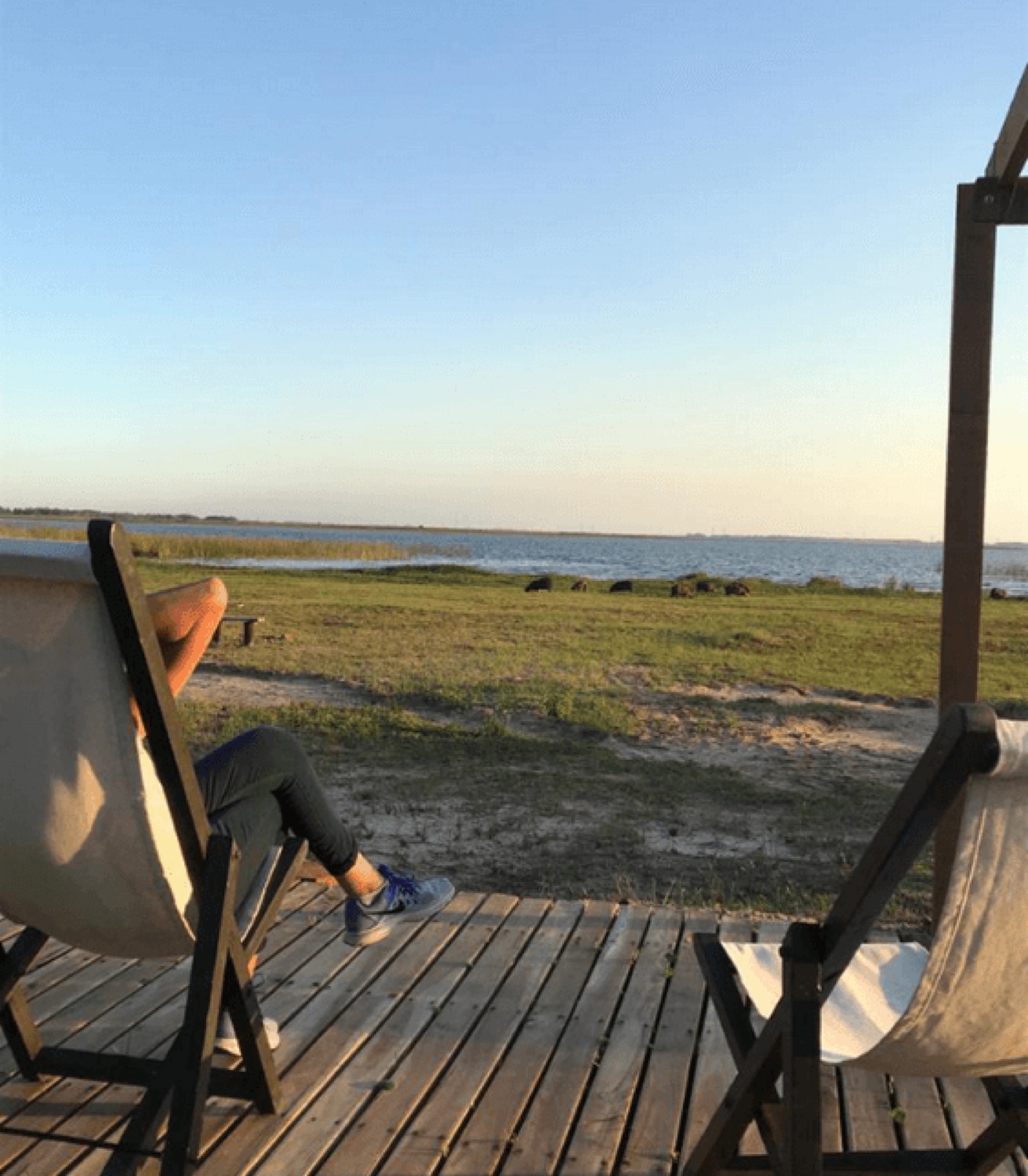 Deck con carpinchos al atardecer en el horizonte