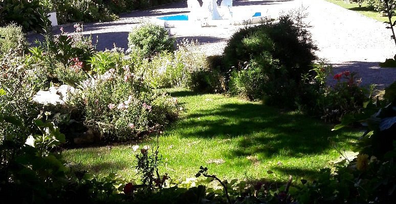 Jardín florido con pileta al fondo  -  senderos entre flores