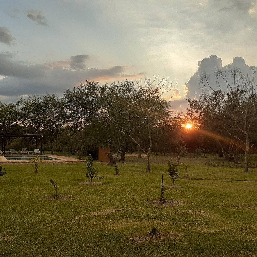 Jardín con pileta y arbolado al atardecer  -  puesta de sol dramática