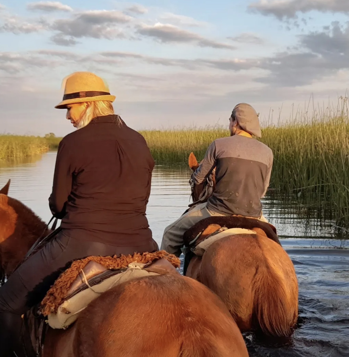 Jinetes a caballo entrando al bañado entre los juncos al atardecer, Esteros del Iberá