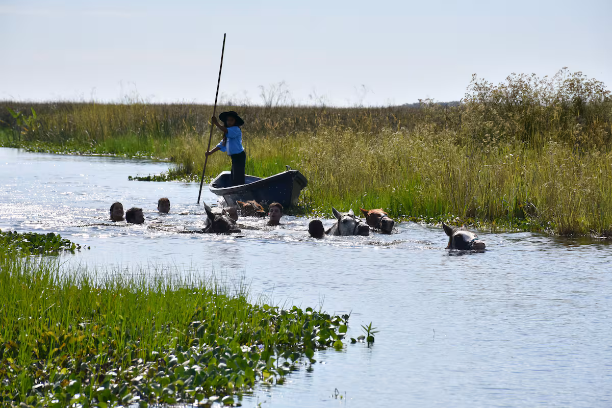 Iberá Ruguá  -  Don Omar Rojas