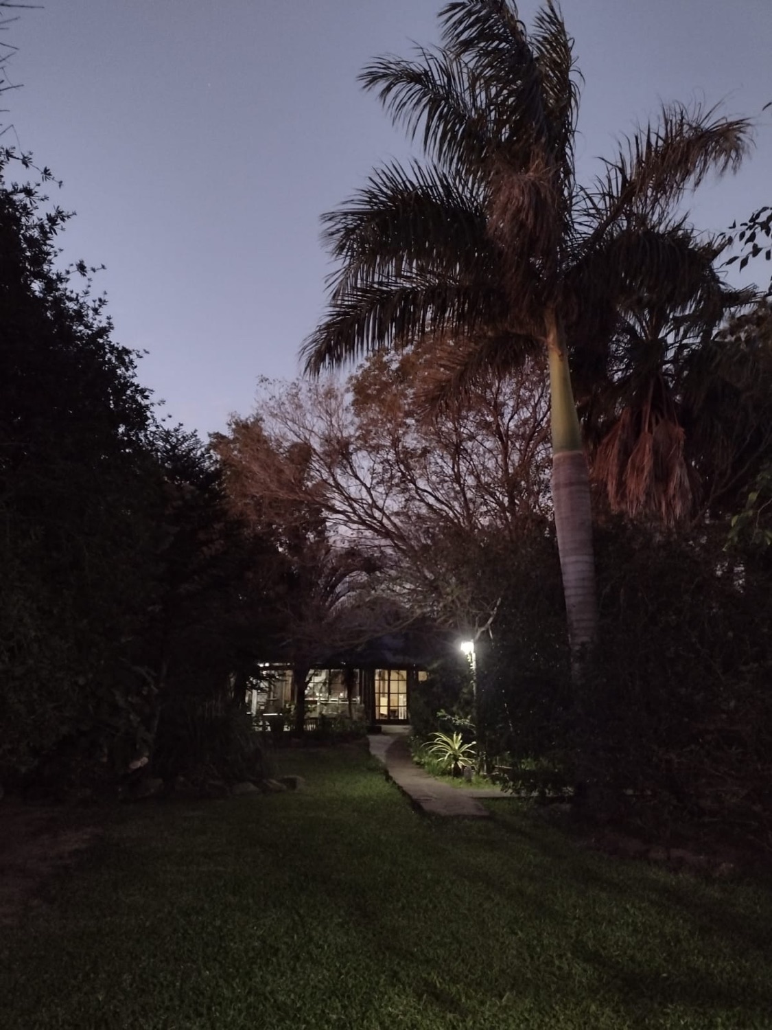Casa y jardín de noche bajo la palmera