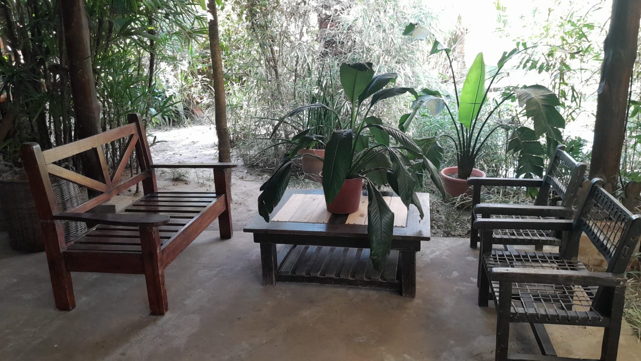 Espacio exterior con sillones de madera y plantas