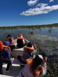 Irupé Excursiones