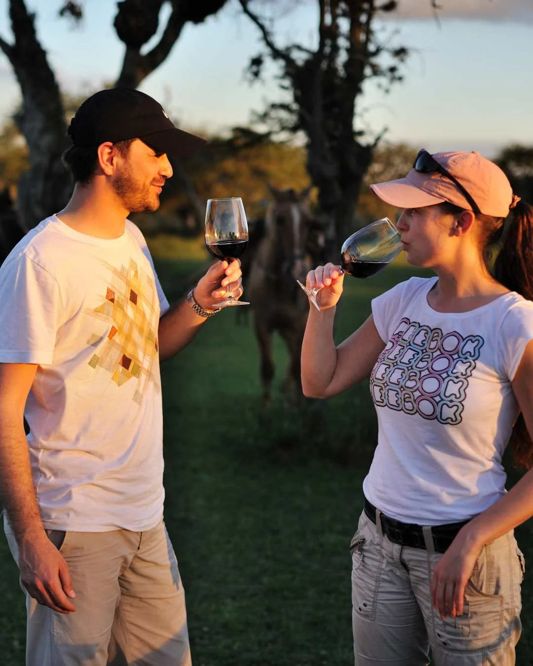 Brindis al atardecer en el parque con caballos al fondo