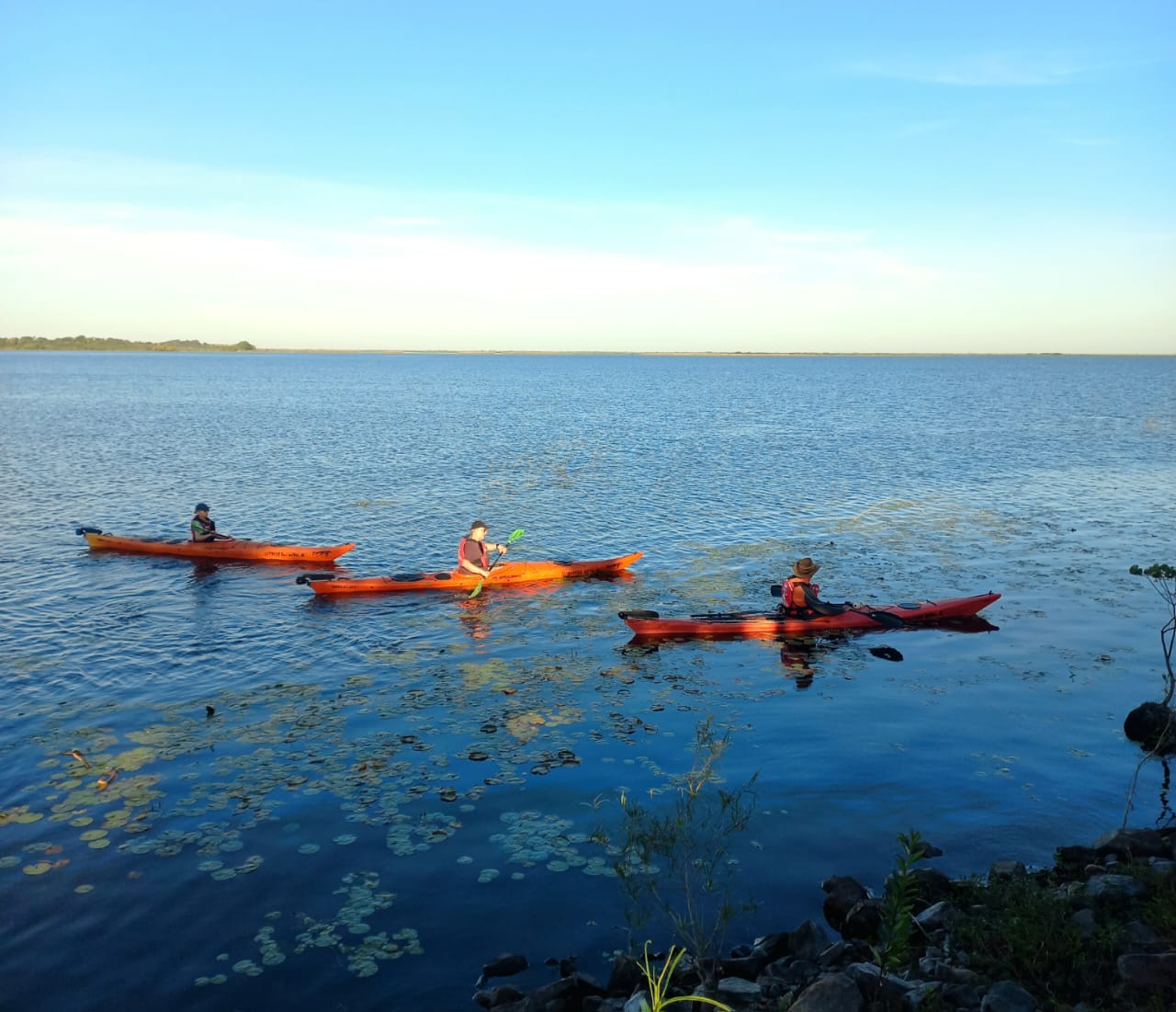 Travesía en kayak por la Laguna Iberá
