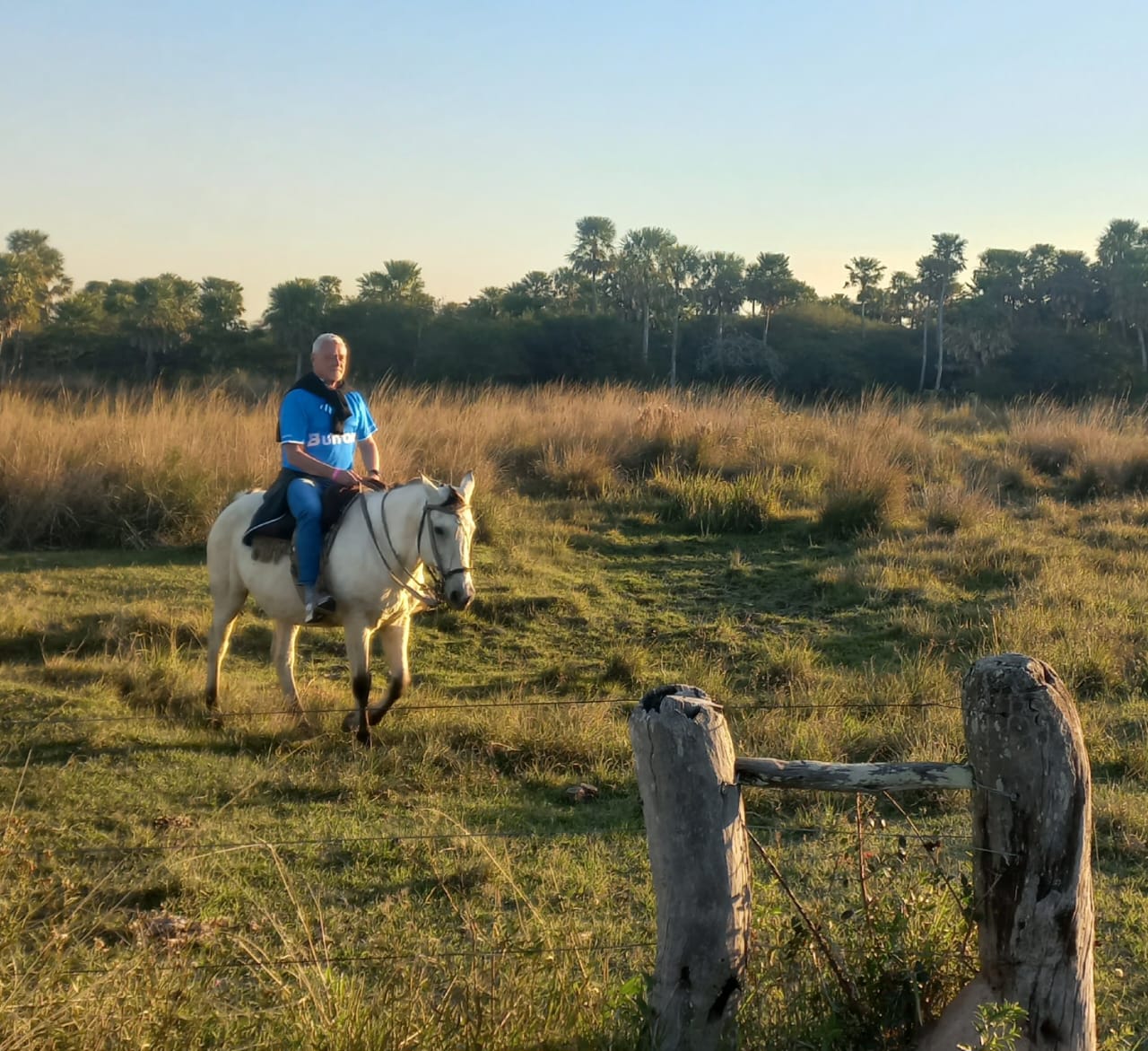 Cabalgata por los pastizales a la hora dorada