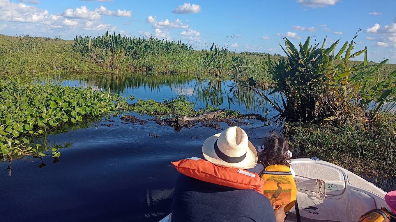 Safari acuático en lancha por los canales del Portal Carambola