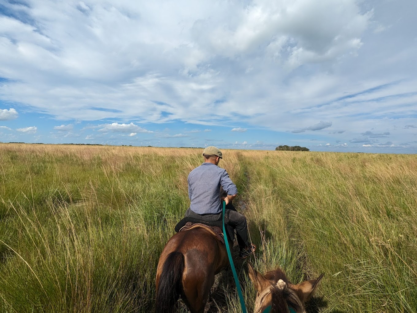 Jinetes recorriendo los altos pastizales del Portal Carambola a caballo