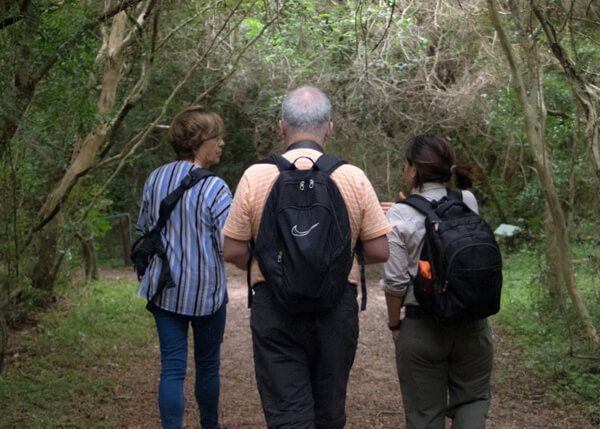 Caminata guiada por el monte nativo del Iberá  -  senderismo