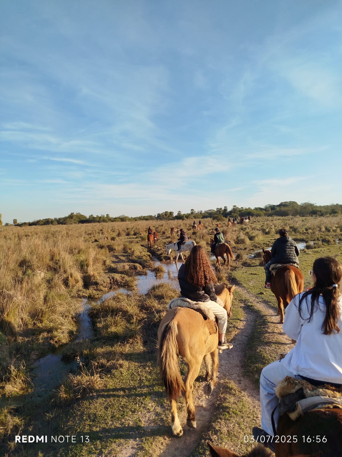 Cabalgata por el pastizal, con los caballos cruzando el agua