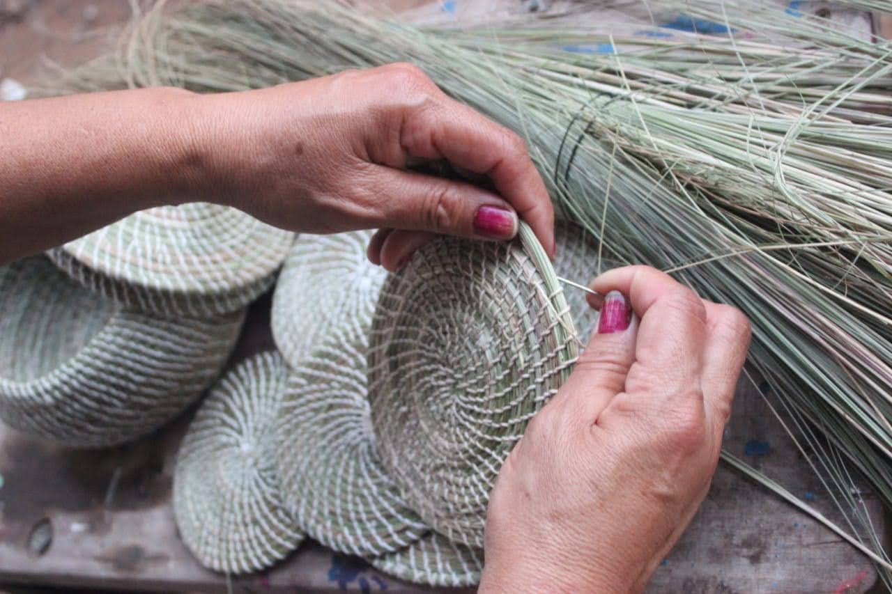 Hands weaving baskets from plant fibre