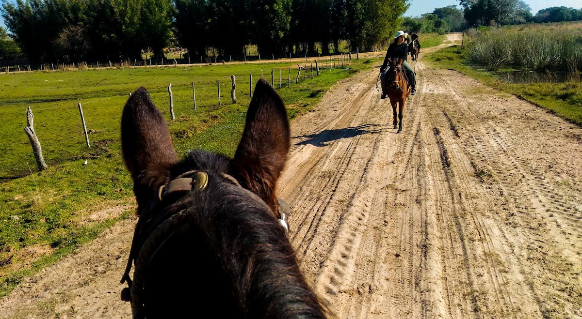 Cabalgata por los caminos de tierra del campo