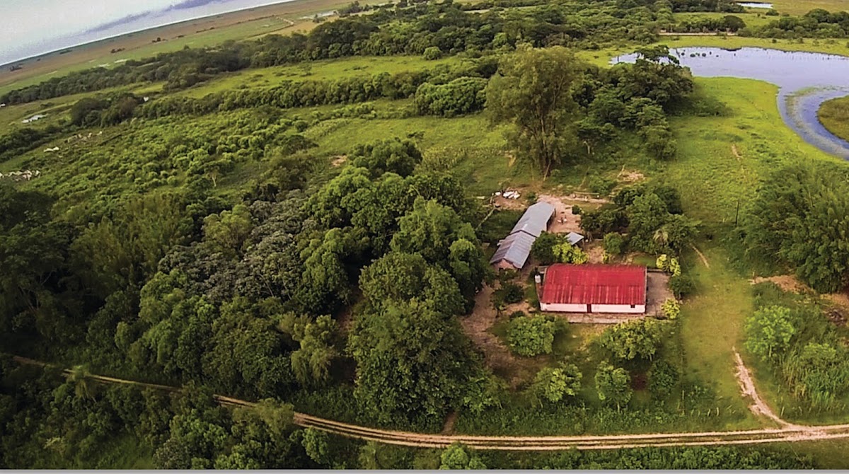 Campo y humedales del Iberá desde el aire