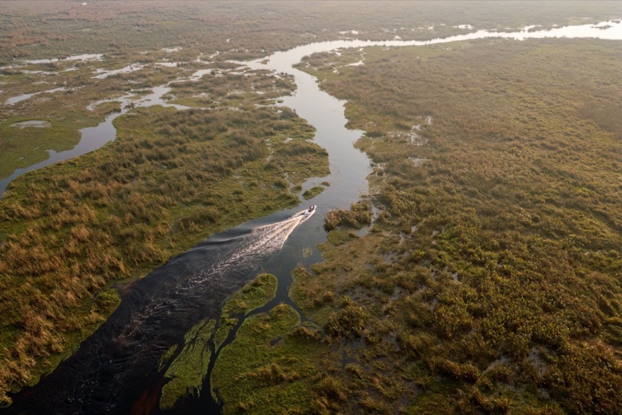 Vista aérea de la lancha surcando los canales del Iberá