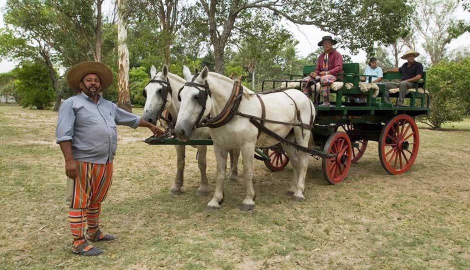 Los Carros