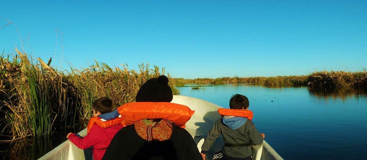 Excursión por los esteros del Iberá
