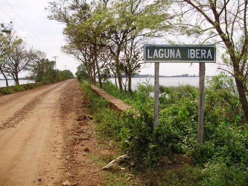 Humedal y palmares del Iberá