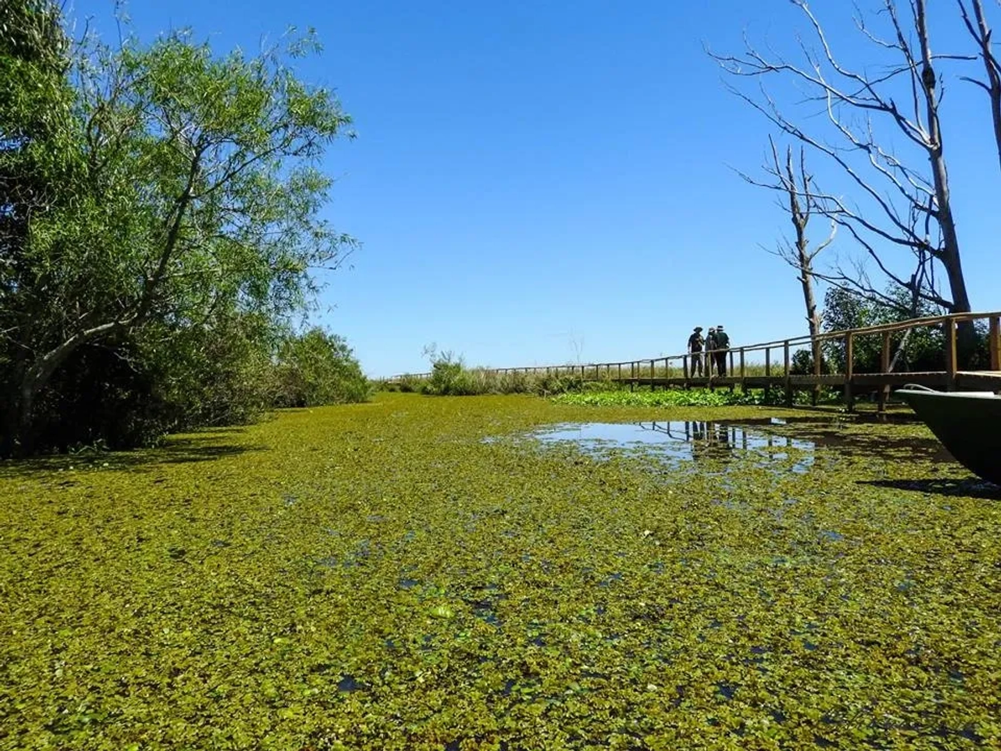 Naturaleza intacta del Portal Galarza