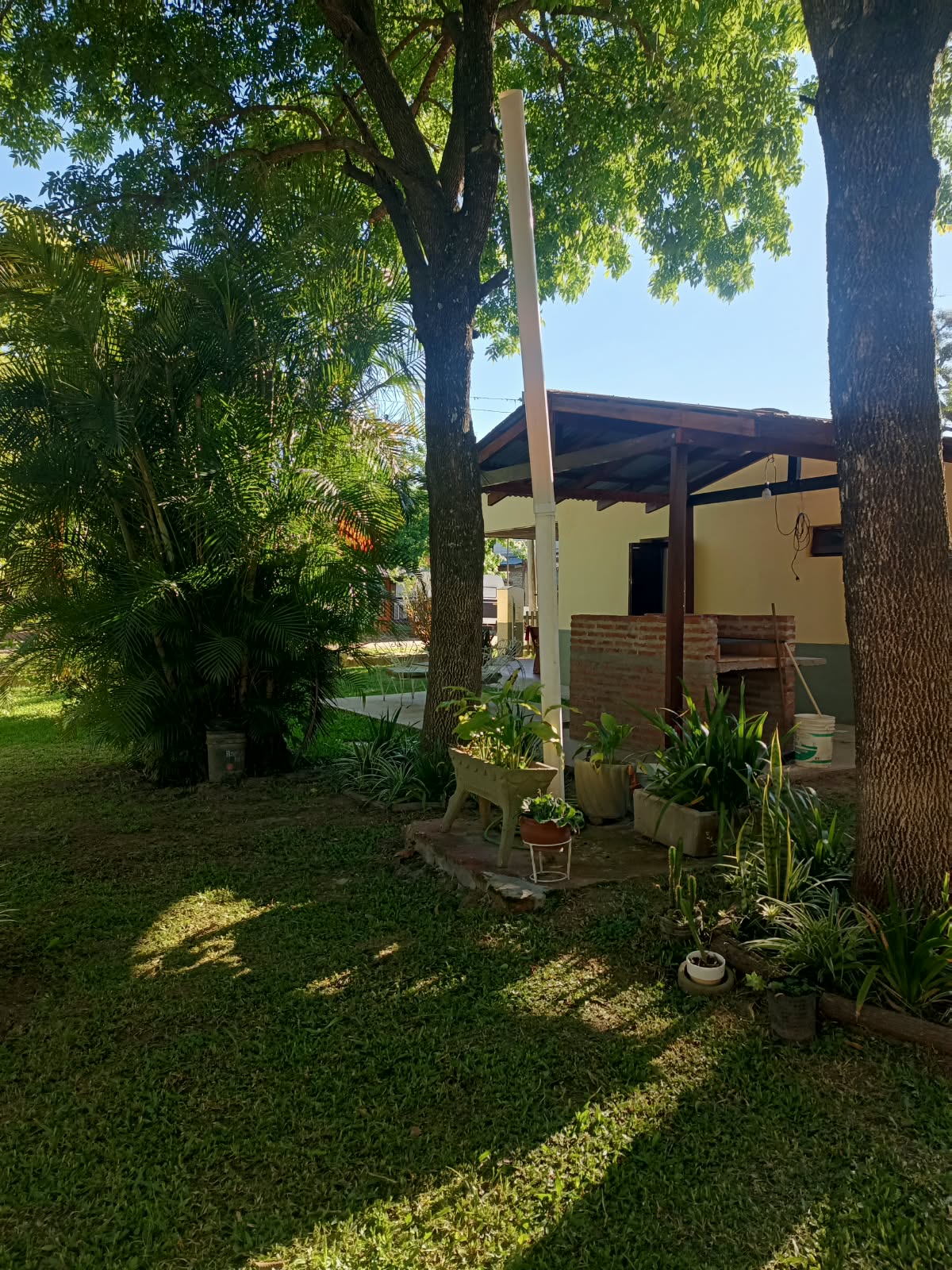 The garden, in the shade of the trees