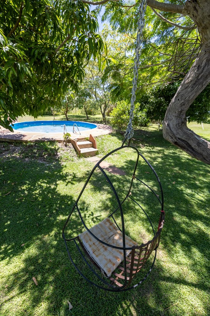 Piscina con hamaca colgante y jardín en la Posada Rancho Jabirú