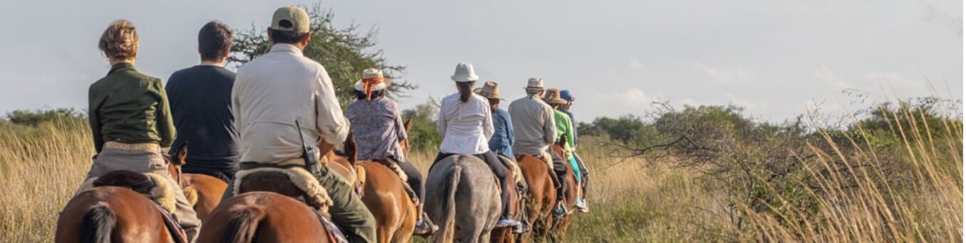 Cabalgata guiada por los pastizales del Iberá