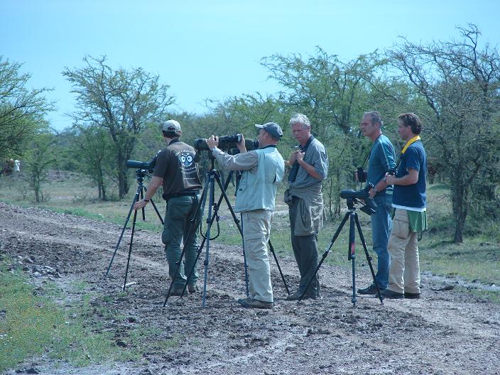 Salida de birdwatching con telescopios en el campo correntino
