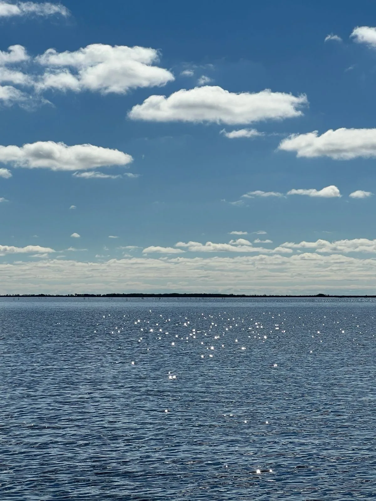 Laguna Galarza, una de las más grandes del sistema Iberá