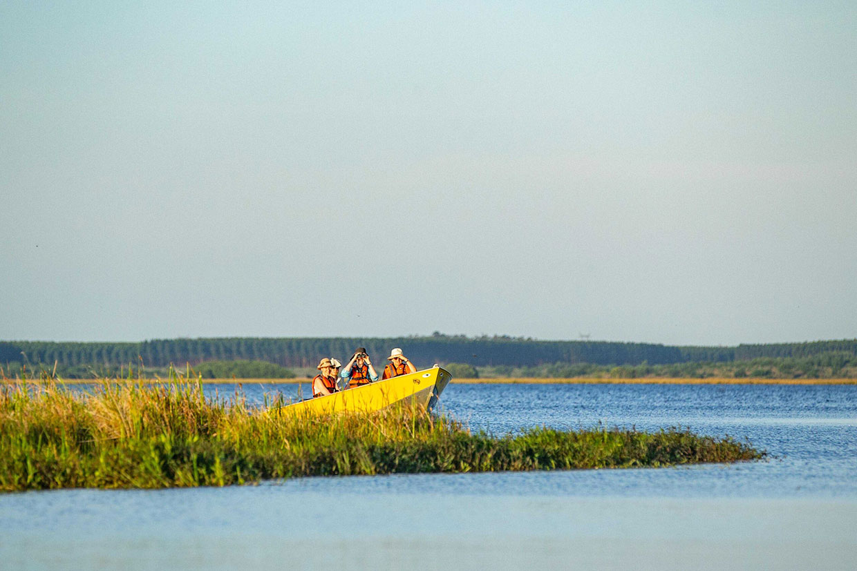 Excursión en lancha por el Paraná