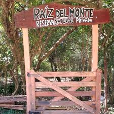 Raíz del Monte