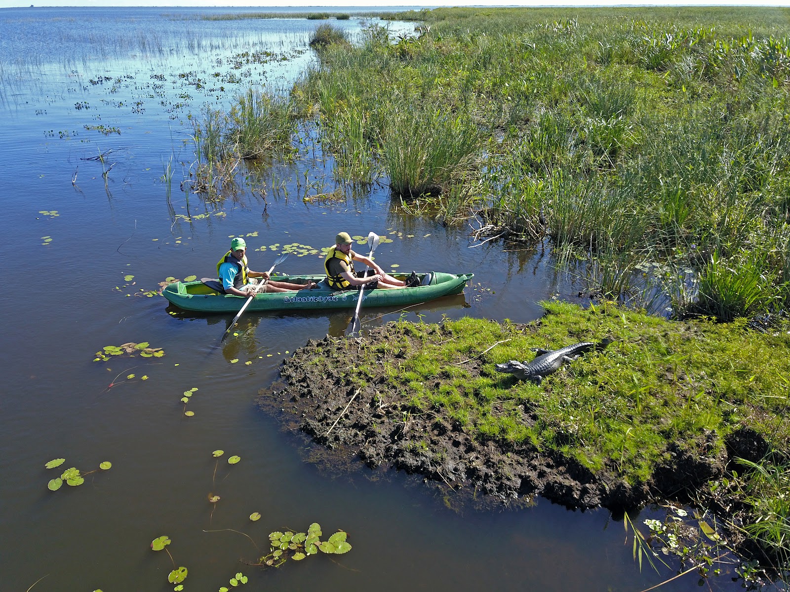 Salida en canoa por el estero